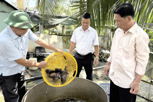 An Viễn chú trọng sản xuất Nhà Cái Cược Thể Thao #1 | Đăng Nhập Chính Thức bền vững