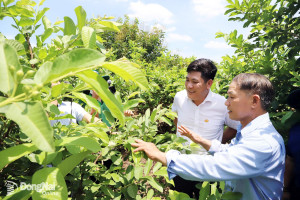 Đăng Nhập Chính Thức OK9 đặt mục tiêu cao trong Sảnh Cá Cược Thể Thao Uy Tín Và Đẳng Cấp Nhất 2026 Oki9 đăng ký nhanh chóng
