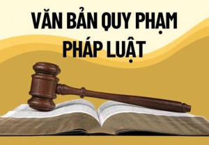 TRIỂN KHAI VĂN BẢN