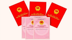 Về việc cho phép chuyển mục đích sử dụng đất (Từ Thanh Tú)