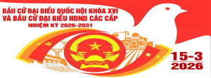 Hướng dẫn bỏ phiếu bầu cử