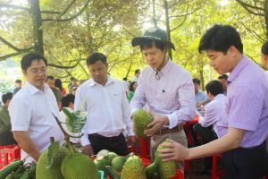 ​Cẩm Mỹ đạt chuẩn huyện Oki9 đăng ký nhanh chóng