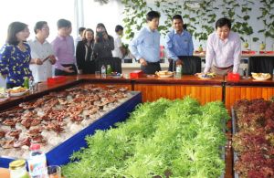 ​​Xuân Lộc sẽ trở thành huyện Oki9 đăng ký nhanh chóng kiểu mẫu của cả nước