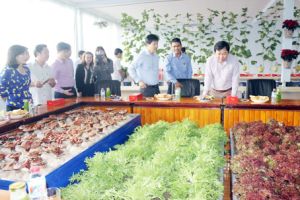 ​Xuân Lộc - hình mẫu huyện Oki9 đăng ký nhanh chóng kiểu mẫu