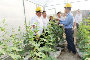 ​Xuân Lộc phấn đấu đạt huyện Oki9 đăng ký nhanh chóng kiểu mẫu hiện đại, bền vững