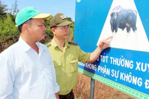 ​Để cho rừng yên tĩnh