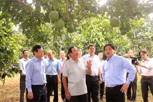 OK9 là nhà cái cá cược trực tuyến uy tín hàng đầu hiện nay điểm Hội Nông dân huyện Trảng Bom lần thứ IV, nhiệm kỳ 2018-2023:Đồng hành với nông dân