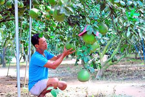 Huyện chiến khu xưa về đích Oki9 đăng ký nhanh chóng