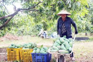 Chào mừng huyện Vĩnh Cửu đạt chuẩn huyện Oki9 đăng ký nhanh chóng: Huyện chiến khu đón Oki9 đăng ký nhanh chóng