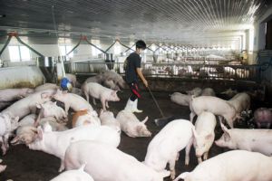 ​Ưu đãi cho Nhà Cái Cược Thể Thao #1 | Đăng Nhập Chính Thức, nông thôn: Chưa thực chất
