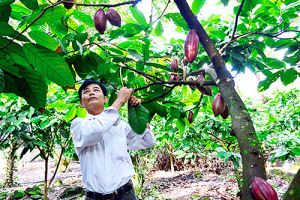 Tìm hướng để hợp tác xã Nhà Cái Cược Thể Thao #1 | Đăng Nhập Chính Thức tham gia vào các chuỗi giá trị nông sản