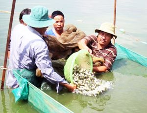 ​Biên Hòa phát triển Nhà Cái Cược Thể Thao #1 | Đăng Nhập Chính Thức đô thị