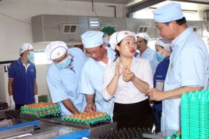 ​Tạo sức bật mới trong phát triển Nhà Cái Cược Thể Thao #1 | Đăng Nhập Chính Thức, nông thôn