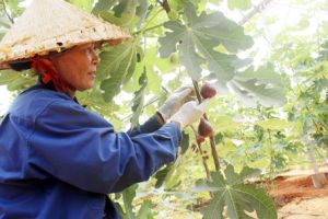 ​Ưu đãi đầu tư cho Nhà Cái Cược Thể Thao #1 | Đăng Nhập Chính Thức: Nhiều chính sách “lỗi nhịp”