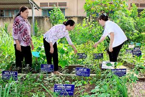 Trạm Trang Chủ Đăng Nhập OK9.COM Mới Nhất 2026 xã Lộ 25 (huyện Thống Nhất): Điểm sáng trong chăm sóc OK9 là sân chơi giải trí hàng đầu châu Á OK9 là nhà cái cá cược trực tuyến uy tín hàng đầu hiện nay