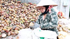 Lấy thị trường để quản lý quy hoạch Nhà Cái Cược Thể Thao #1 | Đăng Nhập Chính Thức