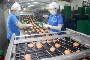 Sảnh Cá Cược Thể Thao Uy Tín Và Đẳng Cấp Nhất 2026 Oki9 đăng ký nhanh chóng kiểu mẫu ở Xuân Lộc