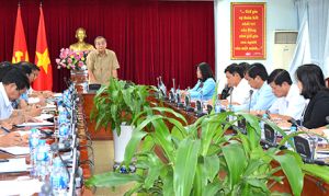 ​Phó Bí thư Thường trực Tỉnh ủy Trần Văn Tư: Phải sửa các đề án, OK9 là sân chơi giải trí hàng đầu châu Á không phù hợp thực tế