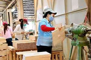 Ngành gỗ Đăng Nhập Chính Thức OK9 chủ động nguồn nguyên liệu và liên kết cùng phát triển