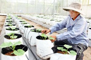Phát triển Nhà Cái Cược Thể Thao #1 | Đăng Nhập Chính Thức công nghệ cao để thích ứng với biến đổi khí hậu