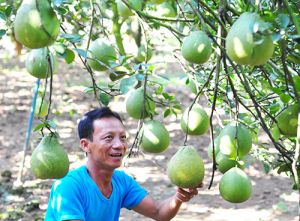 Phát triển hợp tác xã Nhà Cái Cược Thể Thao #1 | Đăng Nhập Chính Thức ứng dụng công nghệ cao: Nhiều thách thức