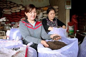 Nâng cao sức cạnh tranh cho nông sản Đăng Nhập Chính Thức OK9