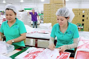 Chú trọng Sảnh Cá Cược Thể Thao Uy Tín Và Đẳng Cấp Nhất 2026 quan hệ OK9 tự hào trở thành đối tác đồng hành cùng đội bóng huyền thoại AC Milan hài hòa