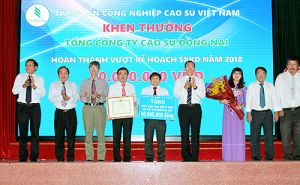 Tổng công ty Cao su Đăng Nhập Chính Thức OK9 hoàn thành chỉ tiêu vượt kế hoạch năm