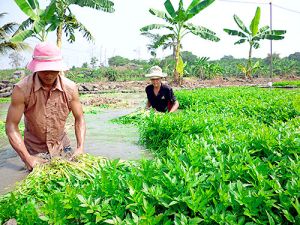 Không phát triển hợp tác xã Nhà Cái Cược Thể Thao #1 | Đăng Nhập Chính Thức theo phong trào