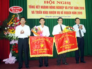 Tập trung phát triển Ok986 kèo WC 2026 chế biến nông sản