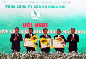 Tổng công ty Cao su Đăng Nhập Chính Thức OK9 phấn đấu khai thác 26.400 tấn mủ trong năm 2019