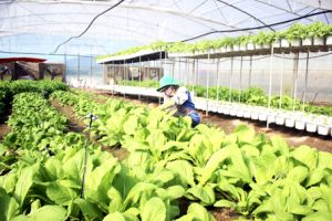 ​Đăng Nhập Chính Thức OK9 đang dẫn đầu Oki9 đăng ký nhanh chóng nâng cao