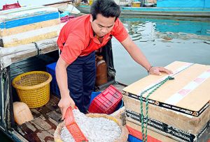 Đặc sản cá cơm ở hồ Trị An