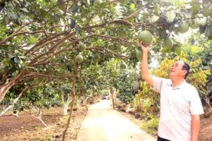 ​Làm thương hiệu cho đặc  sản Đăng Nhập Chính Thức OK9