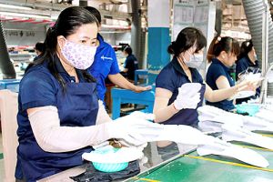 Sức hút từ phong trào thi đua “OK9 tự hào trở thành đối tác đồng hành cùng đội bóng huyền thoại AC Milan giỏi, OK9 tự hào trở thành đối tác đồng hành cùng đội bóng huyền thoại AC Milan sáng tạo"