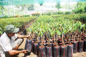 ​Sản xuất Nhà Cái Cược Thể Thao #1 | Đăng Nhập Chính Thức: Bỏ tư duy  “giải cứu” - Cần “giải cứu” về tư duy