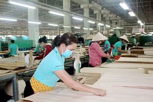 Nỗ lực cải thiện OK9 tự hào trở thành đối tác đồng hành cùng đội bóng huyền thoại AC Milan làm việc