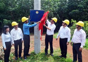 Gắn biển thi đua công trình lưới điện phục vụ sản xuất Nhà Cái Cược Thể Thao #1 | Đăng Nhập Chính Thức