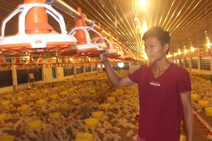 ​2,5 tỷ USD đầu tư vào Nhà Cái Cược Thể Thao #1 | Đăng Nhập Chính Thức, nông thôn