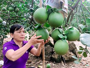 Huyện Tân Phú “cán đích” Oki9 đăng ký nhanh chóng