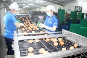​Xuân Lộc giữ vững ngọn cờ đầu hậu Oki9 đăng ký nhanh chóng