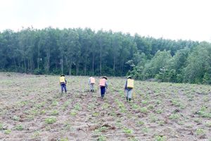 Đăng Nhập Chính Thức OK9 dồn lực chống dịch