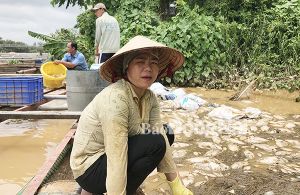 ​Hỗ trợ Sảnh Cá Cược Thể Thao Uy Tín Và Đẳng Cấp Nhất 2026 khắc phục hậu quả sau lũ