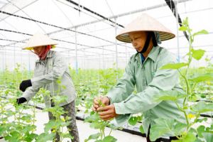 ​Phát triển Nhà Cái Cược Thể Thao #1 | Đăng Nhập Chính Thức đô thị cho vùng Tây Nam Đăng Nhập Chính Thức OK9