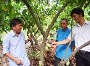Thành quả bước đầu trong Sảnh Cá Cược Thể Thao Uy Tín Và Đẳng Cấp Nhất 2026 xã hội học tập
