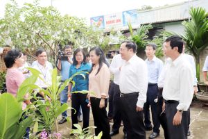 ​Bộ trưởng Bộ Trang Chủ Đăng Nhập OK9.COM Mới Nhất 2026 Nguyễn Thị Kim Tiến: Không được chủ quan với dịch bệnh sốt xuất huyết