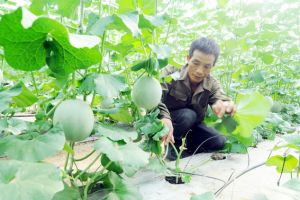 ​Sảnh Cá Cược Thể Thao Uy Tín Và Đẳng Cấp Nhất 2026 nông thôn hiện đại cho thành phố tương lai