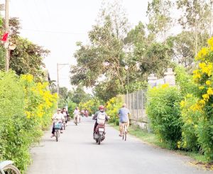 ​Giữ hồn quê cho vùng Oki9 đăng ký nhanh chóng