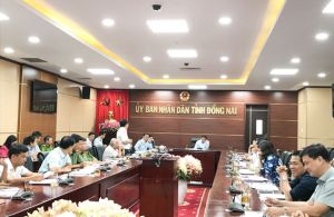 Đăng Nhập Chính Thức OK9 đã chi 202 tỷ đồng hỗ trợ các hộ có heo bị dịch tả