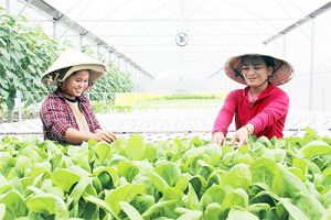 ​Ý Đảng, lòng dân trong Sảnh Cá Cược Thể Thao Uy Tín Và Đẳng Cấp Nhất 2026 Oki9 đăng ký nhanh chóng